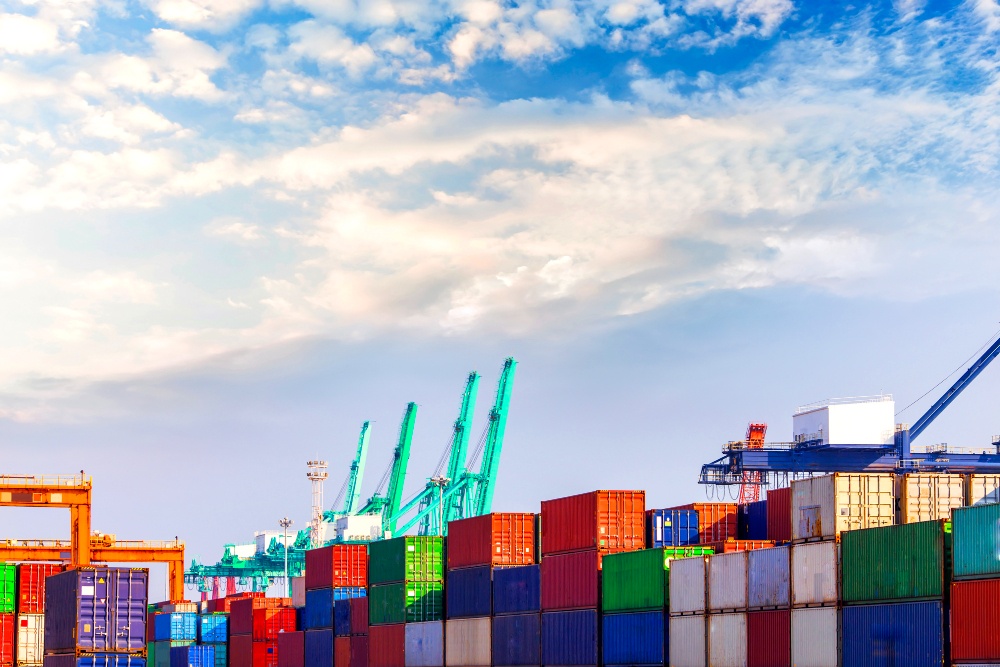 Yetkilendirilmiş Yükümlü Sertifikası Uygulamalarının (Sürdürülebilirlik) Denetimi